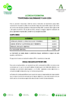 Seguro Deportivo Balonmano Playa 2024