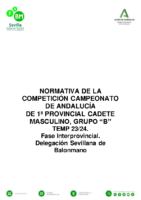 CM PRIMERA PROVINCIAL NORMATIVA COMPETICION