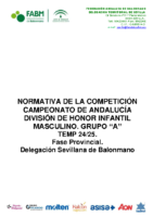 NORMATIVA 2024-2025 GRUPO A INFANTIL MASCULINO