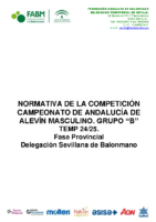 NORMATIVA 2024-2025 GRUPO B ALEVÍN MASCULINO