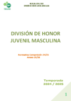 3-DIVISIÓN DE HONOR JUVENIL MASCULINA