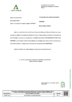REGISTRO PROTOCOLO MENORES